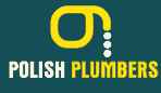 Polish Plumbers London